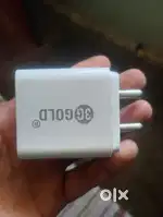 Mobile Charger