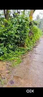 Plot for sale near Kalpetta city