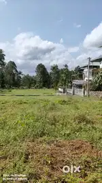 അങ്കമാലി കറുക്കുറ്റിയിൽ 10 സെൻ്റ് സ്ഥലം വിൽപനയ്ക്ക്
