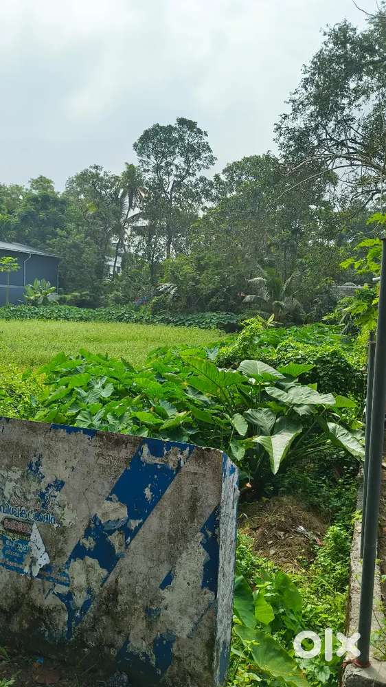 600 M FROM NH 43 CENT PLOT FOR SALE