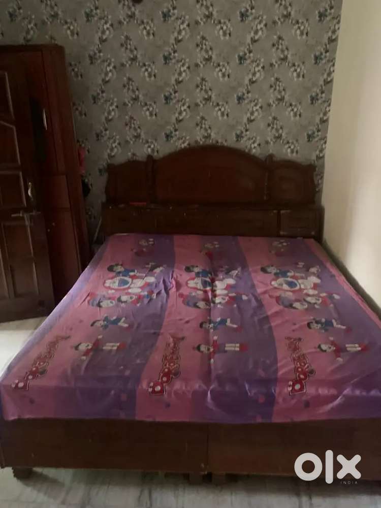 Pg sector 22 c boys pg with food