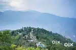 Tribal land for sale in bhalukhop, Mahankal dara kalimpong (west benga