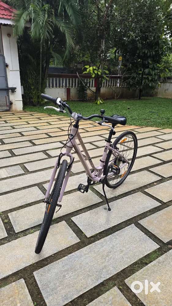 Giant Flourish Cycle for sale