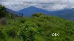 Beautiful Grass Land on Hill Top 360 Degree View Near to Solan