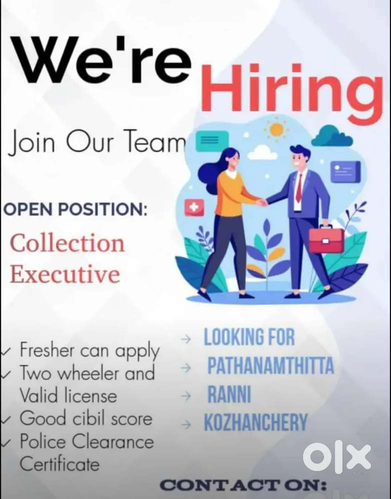 Need collection Executive on urgent basis