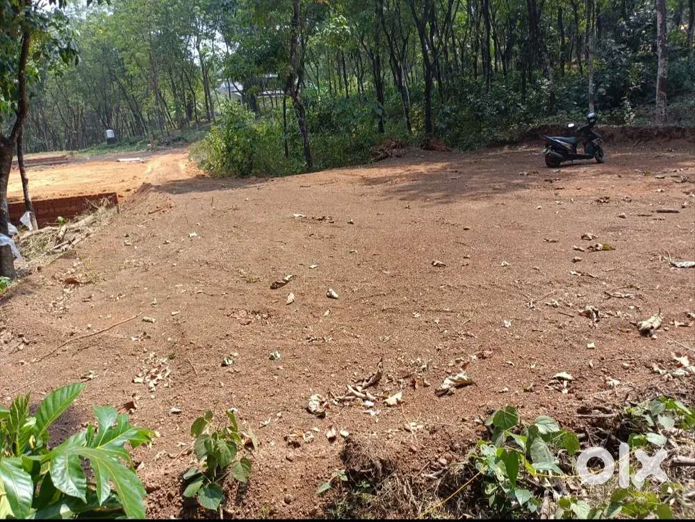 8cent nirapaya sthalam chempanthotty payatuchal main road mtr