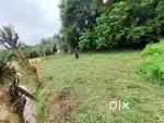 Plot for sale