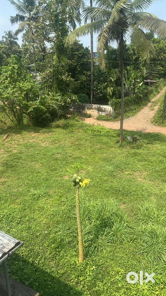 2 ലക്ഷം സെന്റിനു2 lakh per cent Residential plot for sale