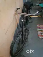 Neelam Super Plus