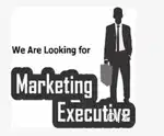 Marketing excutive