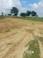 Best plot in budget