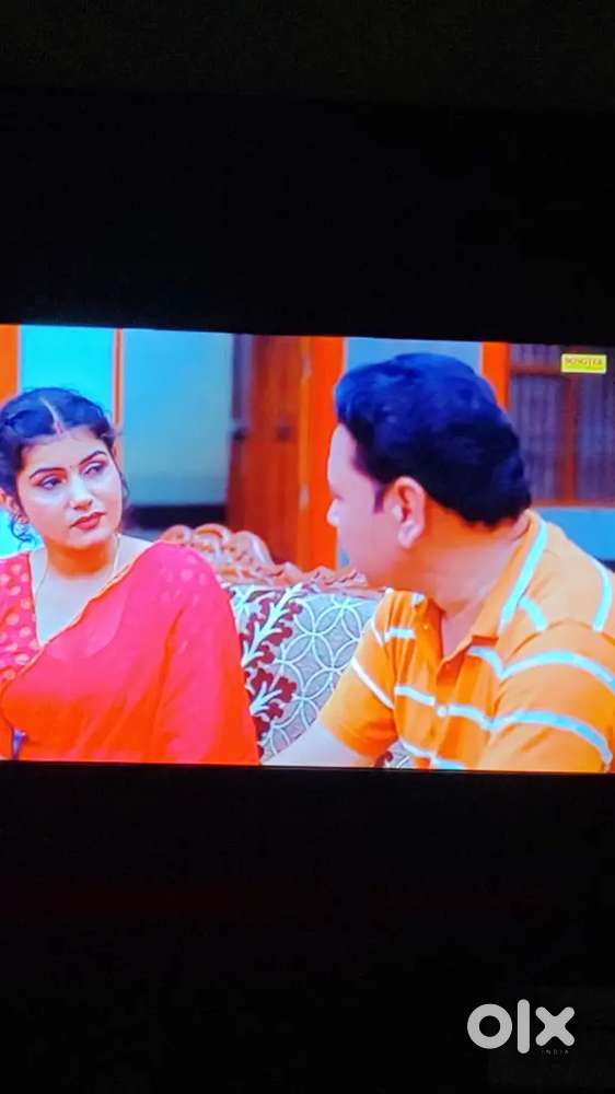 6 month old led plasma company