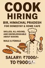 Cook hiring