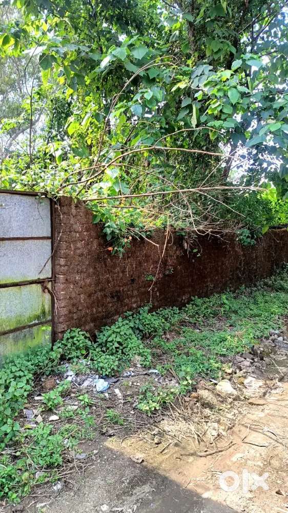 Semi Commercial & Residential Plot Dhoran Road