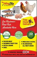 Chicken chopper halal