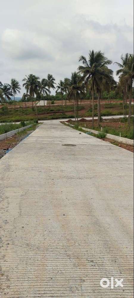 Sites for sale at Mangalore.   MUDA approved
