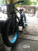 Forster cycle