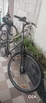 Bicycle sales