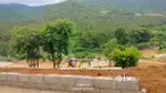 FAMILY FARM LAND sale @ DINDIGUl