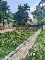 1/2 katha Road side land at dihingia gaon near BP Tiniaili
