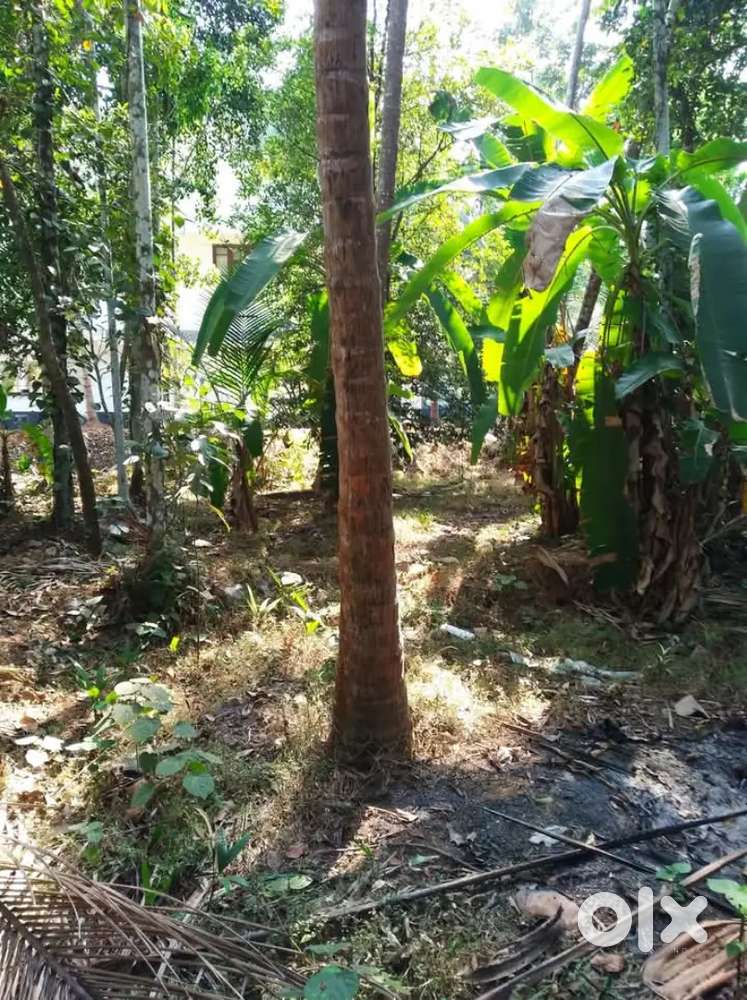 House plot foe sale near Villiappally in Vadakara land for sale