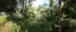 55 CENT PLOT with house