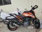 Duke 250 2018 for Sale