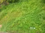 Land for sale Paramathi velur