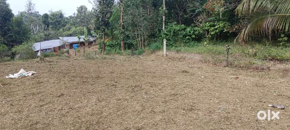 15 cents house plot for sale - Kuttimoola,Kaniyaram,5 km to mvady