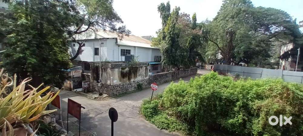 The PG flat is located at Tadiwala road