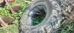 Jcb ka piche bala 2 tyres hai good condition me