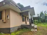 30 CENT PAND WITH TEA ESTATE AND 1100 SQFT HOME FOR SALE @WAYANAD