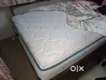 5 by 6 sleep well pro next classic