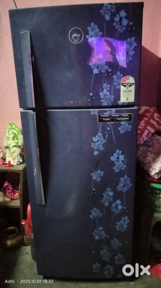 2 door freezer