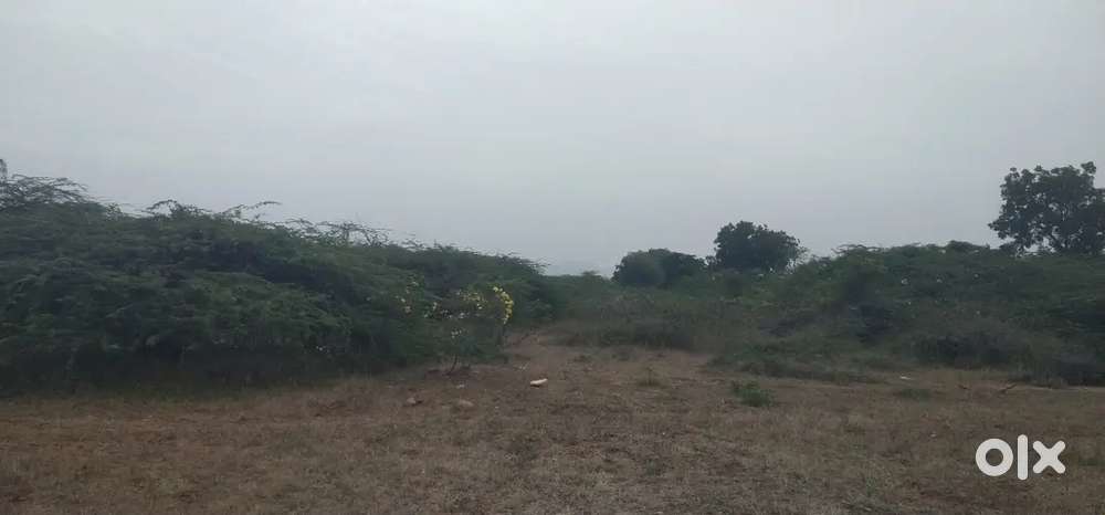 Agriculture land for sale per cent 1 lakh