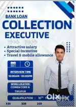 Collection Executive