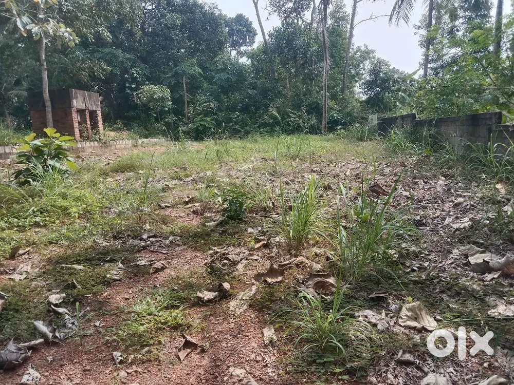 Sreekaryam manguzhi nh road to 300mtr 8cent plot