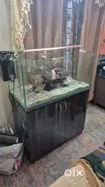 Ultra clear glass aquarium fish tank with cabinet.