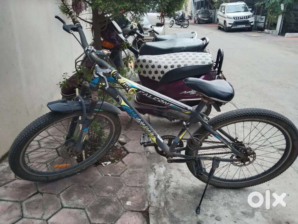 Falcon bicycle