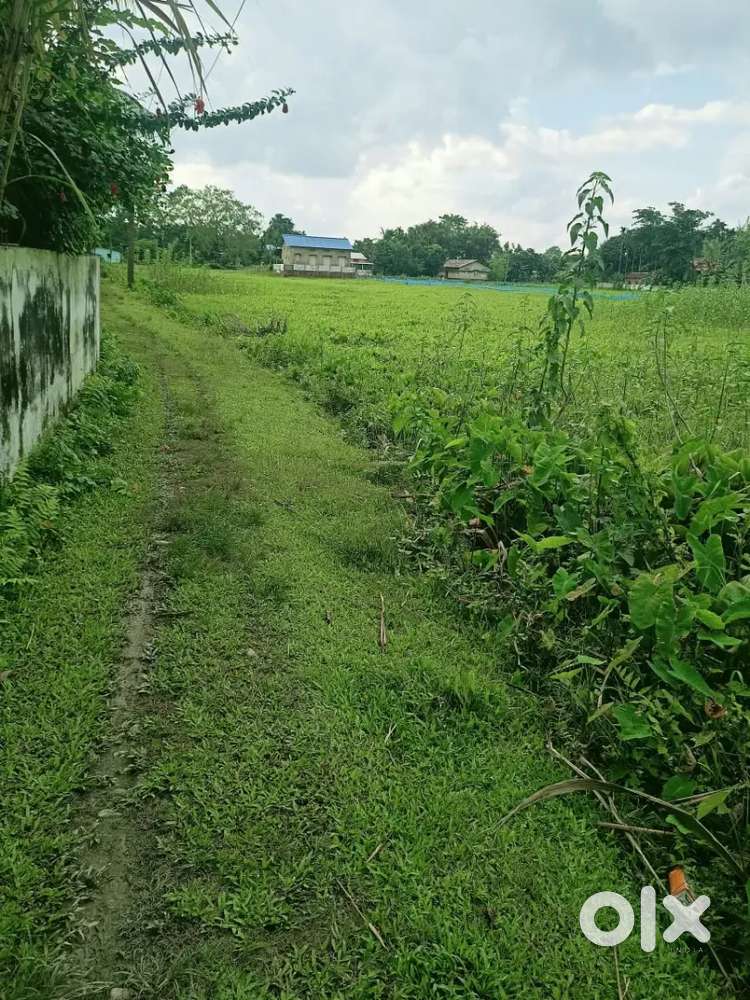 Mangaldoi Milanpur ,Pragati Path (1Bigha 3Lessa) Per Katha - 30Lakh