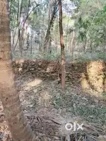 വില്പനക്ക്,പാറ കോറിക്കു സമീപം