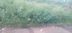 30/40 NA phot for sale Aman Nagar