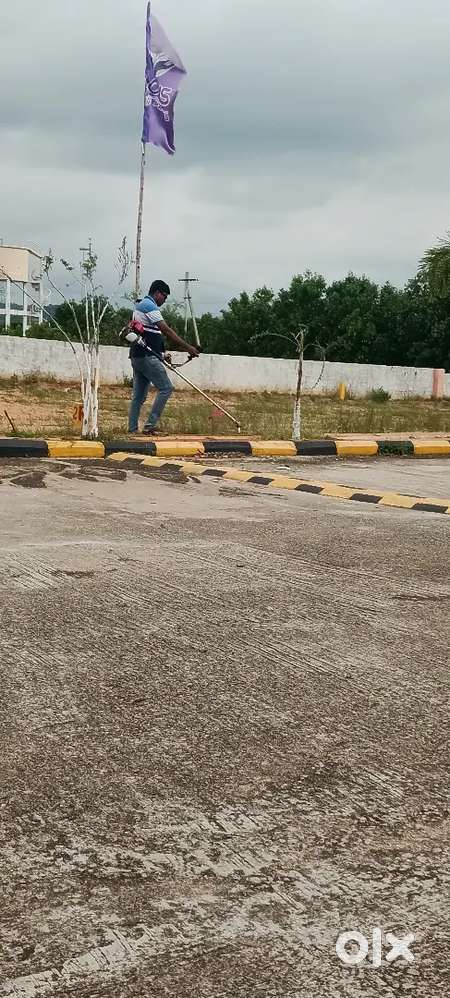 Low price HMDA Layout