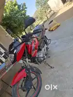 Pulsar 135LS ,DEC.2014 ka model h