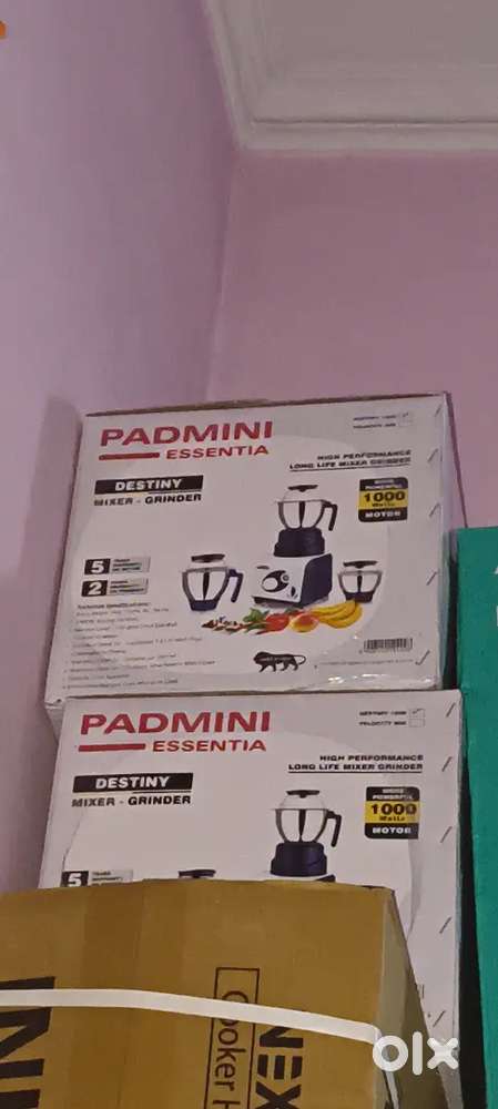 Padmini mixer grinder