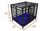Pet cage with pet