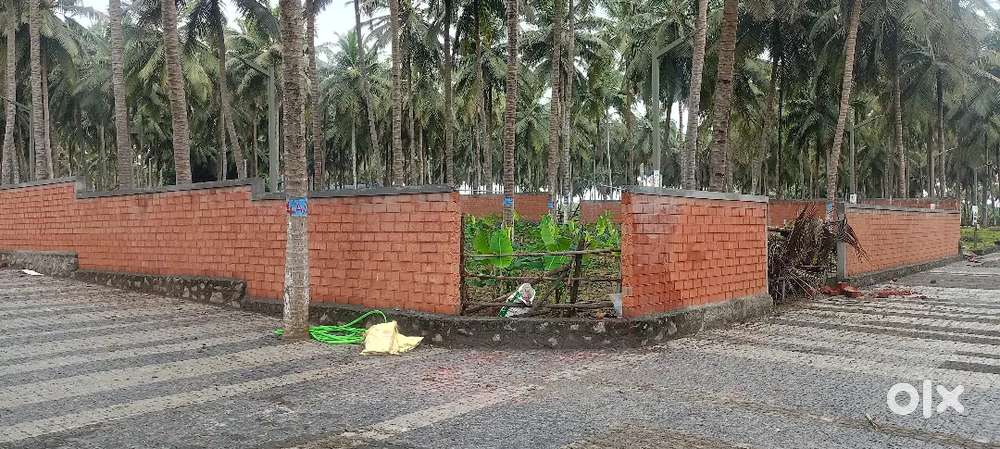 Farmlands sale in Othakalmandabam coconut farmland