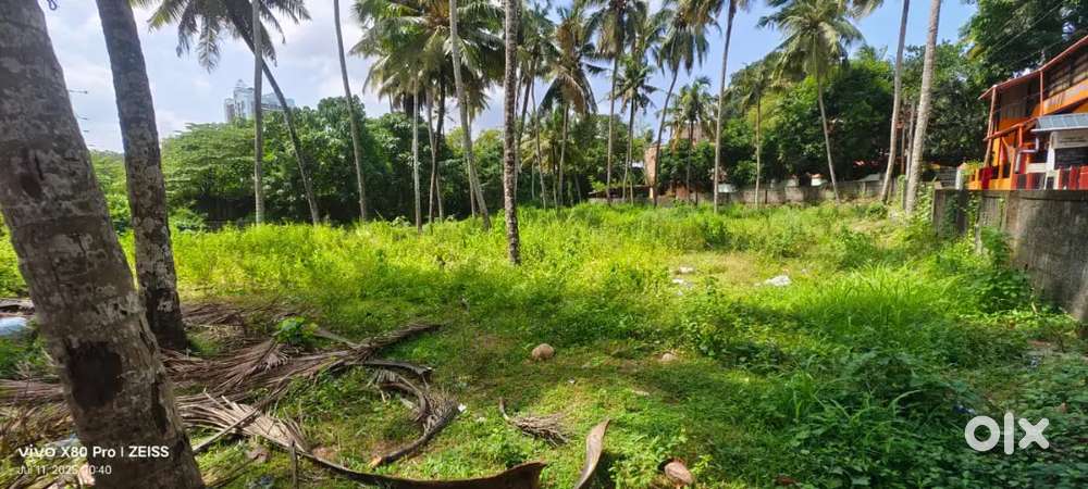 17 cents semicommercial land for sale