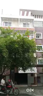Good looking and nature friendly