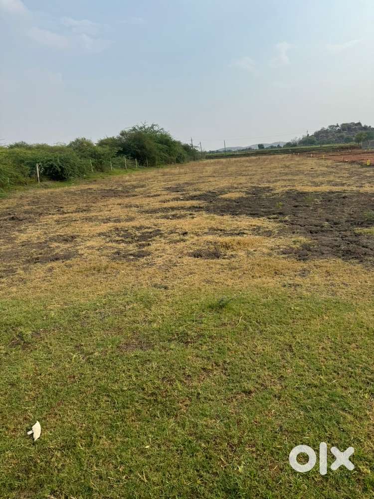 East facing 1200sqfeet plot